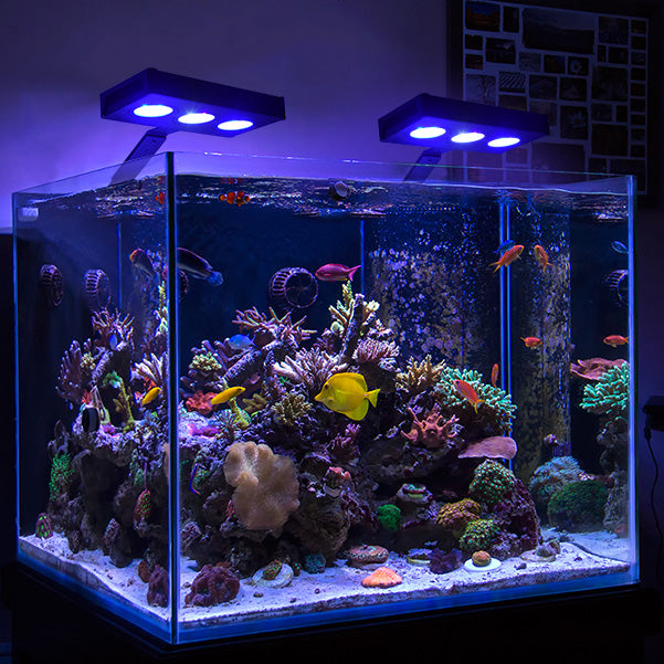 A029 AquaKnight-30W-2 LED Channels-Dimmable-for 10"~18" or 30~50cm Coral Reef Fish Tank
